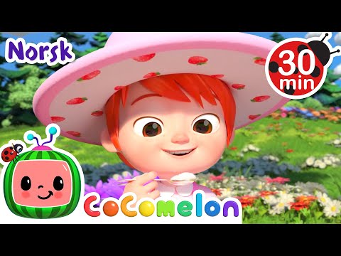 Lille Pernille | Vuggesanger for Babyer | CoComelon Norsk