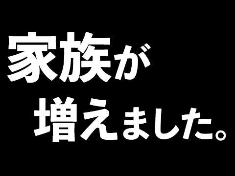 【雑談】家族が増えます【北小路ヒスイ/にじさんじ】