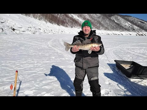 С Юбилеем, дружище !  Есть ещё порох в пороховницах !