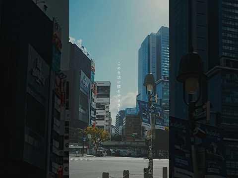 素直になれなくて後悔なんてしたくないんだ #邦ロック #newmusic #organiccall #歌詞動画 #生活 #shorts