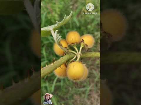 อย่าปัดผ่านเชียว..นอนสะดุ้งผว