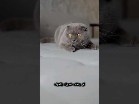 مجرد النظر لهذا اللون قد يخفف خوفك! 😌🎨