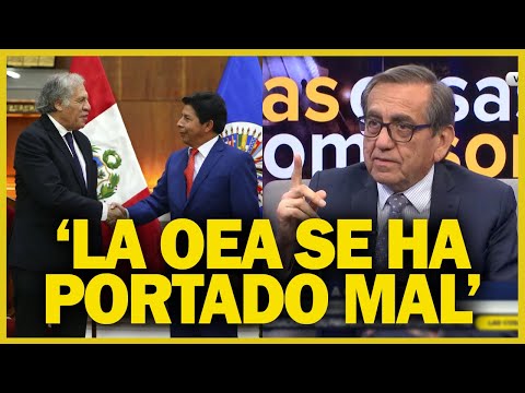 OEA enviará misión al Perú: “Espero que no vengan los ayayeros del Presidente”