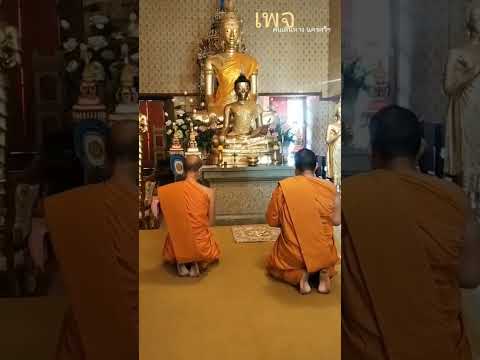 พึ่งตนพึ่งธรรมshortvideosho