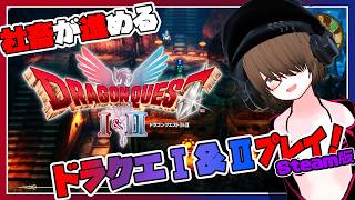 【ドラゴンクエストⅡ】社畜、ドラクエⅠ＆Ⅱ　HD-2D版をやる！#20【DRAGON QUEST Ⅰ＆Ⅱ】