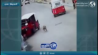 اغرب حادث مروري