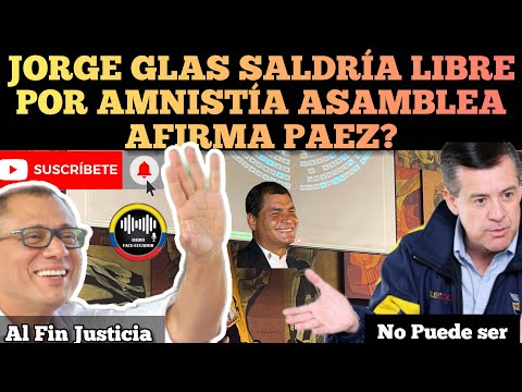 JORGE GLAS SALDRÍA EN LIBERTAD POR AMN1.ST1A DE LA ASAMBLEA AFIRMA ANDRÉS PAEZ RFE TV