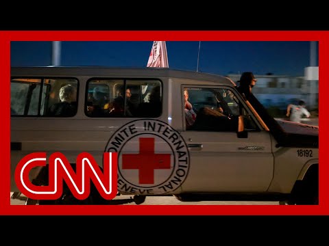 Cheers erupt as Red Cross convoy passes through Rafah crossing