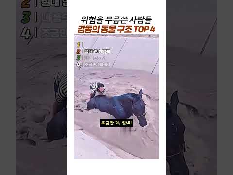 위험을 무릅쓰고 동물구조한 <strong>사람들</strong> top4 #감동동물구조