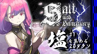 【Salt and Sanctuary】塩を集めるダクソ PART7【飲酒初見実況プレイ配信】