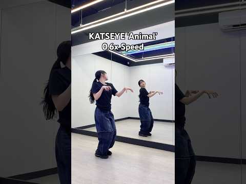 KATSEYE '<strong>Animal</strong>' Dance Tutorial🐆 (0.6x Speed) | Yu Kagawa #katseye #<strong>animal</strong>