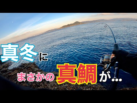 真冬にブリを釣りに行ったらまさかのマダイが…【ショアジギング】