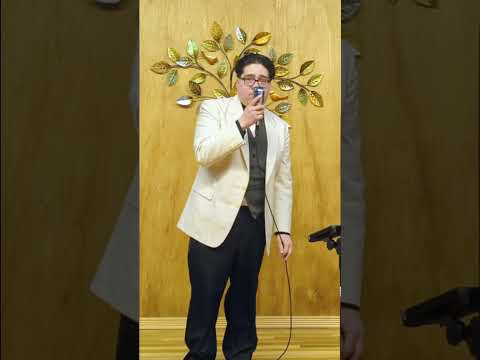 Mickey Holiday - I Won't Dance #shorts #franksinatra #music