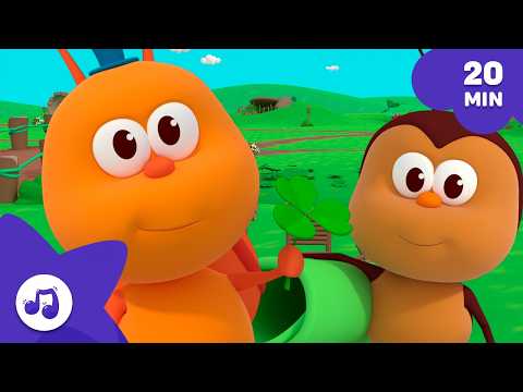 Nós somos Bichikids 🐞 Bichikids 🐞🌈Compilação Infantil [20 min] Português do BRASIL