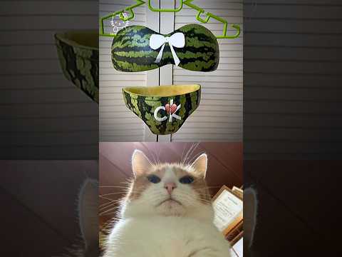 FUNNY MOMENTS 😁 PART 30 #shorts #viral #trending