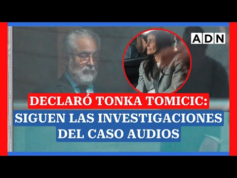 Declaró Tonka Tomicic: Siguen las investigaciones del caso audios y Luis Hermnosilla