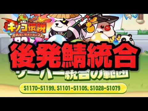 【キノコ伝説】後発鯖の統合どんな感じ？【検証系Youtuber】