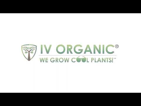 Kaye joins "Let's Get Growing! Live!