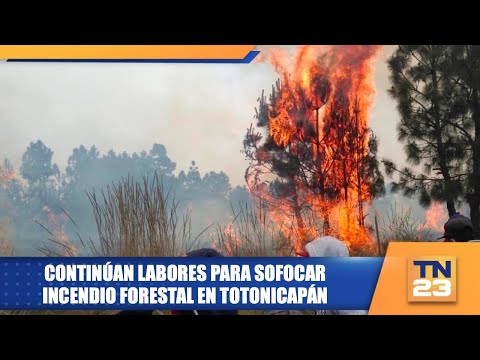 Continúan labores para sofocar incendio forestal en Totonicapán
