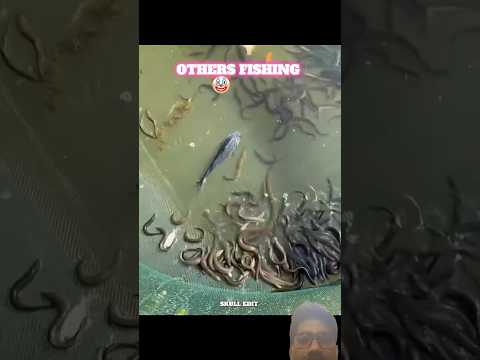 Fishing 🎣 #fishing #trending #viral #shortsfeed #viralvideo #cartoon #tranding #shortvideo