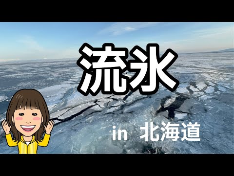 【流氷見れた!】ラッキーにも流氷がちょうど降りてきていたので見ることが出来ました~こればっかりはタイミングのようです~この流氷を見ながらの大自然にいると人間の小ささを感じます~