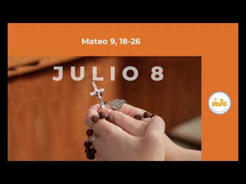 Mateo 9,18-26 - Evangelio del día - Padre Luis Zazano