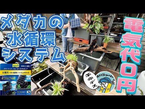 【めだか】電気代タダのソーラーパワーで水を循環される画期的な商品が発売されます（テトラのソーラーウォーターリフトポンプ初公開デス！メダカ飼育が楽しくなる！）