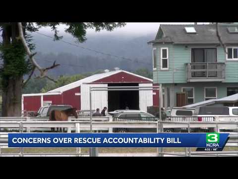 Proposed federal bill raises questions for animal shelters and rescues