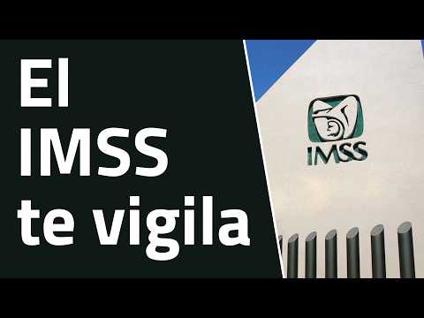 El IMSS puede quitarte tu pensión: 5 errores que debes evitar