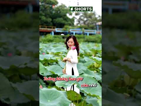 Nhạc #Shorts karaoke Lânpro - ĐÔI MẮT NGƯỜI XƯA