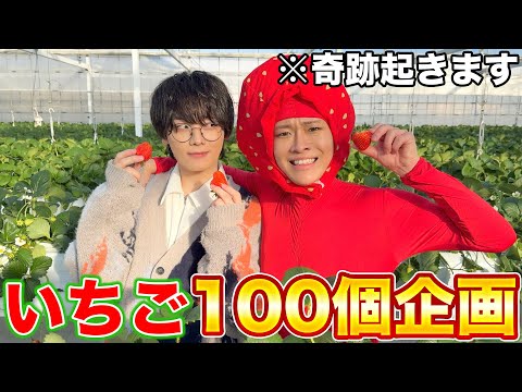 【大食い】いちご100個食べる企画やったら食べ過ぎて畑枯れたｗｗｗｗｗｗ