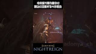 【ナイトレインDLC】中央砦で戦う最中は頭上に注意しないとこうなる