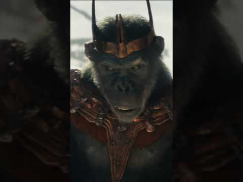 Il Regno del Pianeta delle Scimmie | Vivilo in IMAX #Shorts