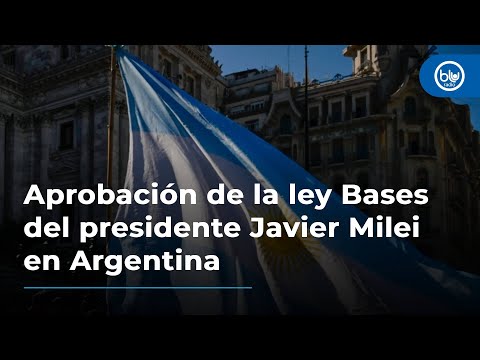 Ley Bases de Milei: senador argentino explica por qué es tan importante lo aprobado