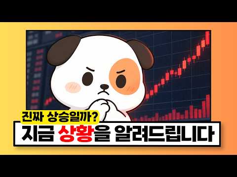 "선택 잘못하면 후회한다" 직접 보고 판단해야합니다