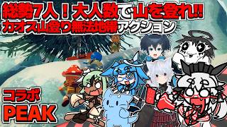 【PEAK】総勢7人！大人数で山を登れ！カオス山登り無法地帯の始まりだ！丨コラボ【VTuber丨アライ子】