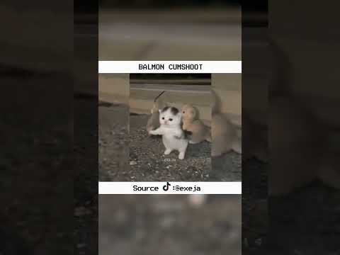 balmond cumshoot - izin bang @exeja_ #mlbbmeme #mlbbcore #mlbb #mlbbid #mlbbfunny #mlbbshorts