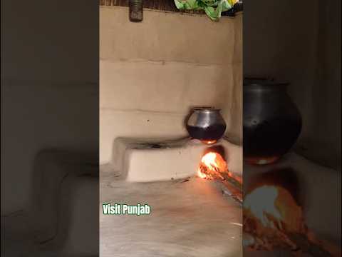 A Day in the Village | Peaceful Rural Life in Dograwal Village Kapurthala Punjab #shorts