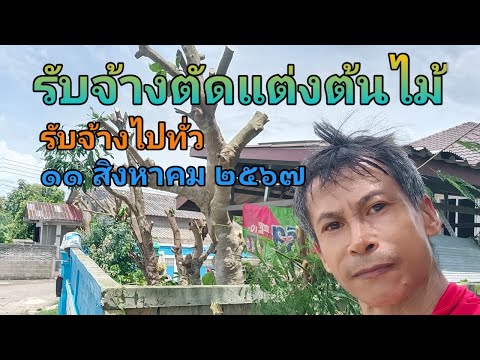 รับจ้างตัดแต่งต้นไม้รับจ้างไปท