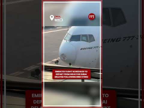 Delhi To <strong>Dubai</strong> Emirates Flight EK 517 Delayed Following Bird Strike <strong>At</strong> IGI <strong>Airport</strong>