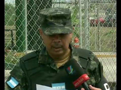 El Ejército Nacional logra incautar gran plantación de hoja de coca