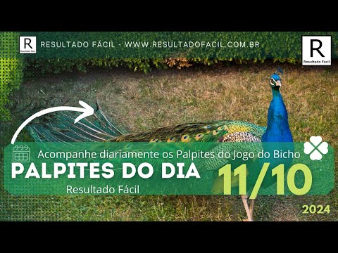 Palpite do dia 11/10/2024 Jogo do Bicho - Resultado Fácil