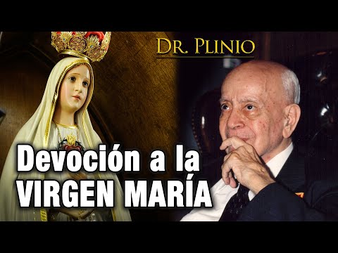 ¿Por qué los Católicos tienen DEVOCIÓN  a la VIRGEN MARÍA | Dr. Plinio Corrêa de Oliveira