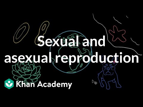 Sexual and asexual reproduction | Middle school biology | Khan Academy