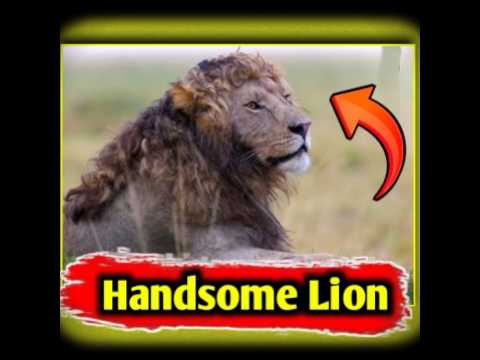 Why Is So Viral 🤔#shorts