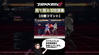 【鉄拳8】見て覚える用語集【白鷺コマンド】