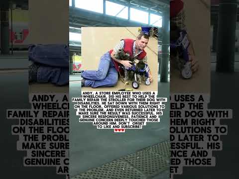 Andy, A Wheelchair-Bound Store Employee, Helped Repair The Dog's Stroller.