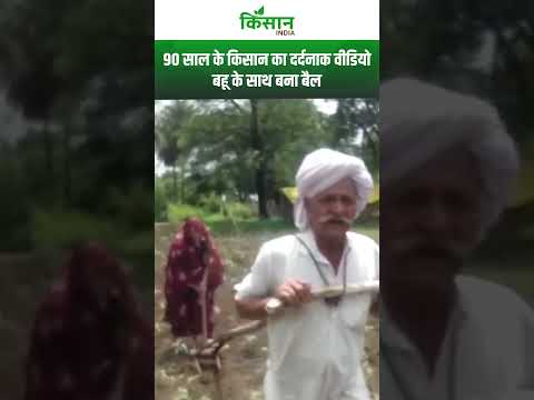 90 साल का बुजुर्ग किसान बना बैल,बहू के साथ खुद जोत रहेा खेत। Viral Video। #shortvideo
