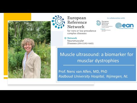 Muscle ultrasound, a biomarker tool for muscular dystrophies