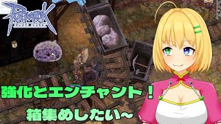 【#ラグナロクオンライン】精錬ぜんぜん+9にならんのだけど～！？＃18【三葉輪花】